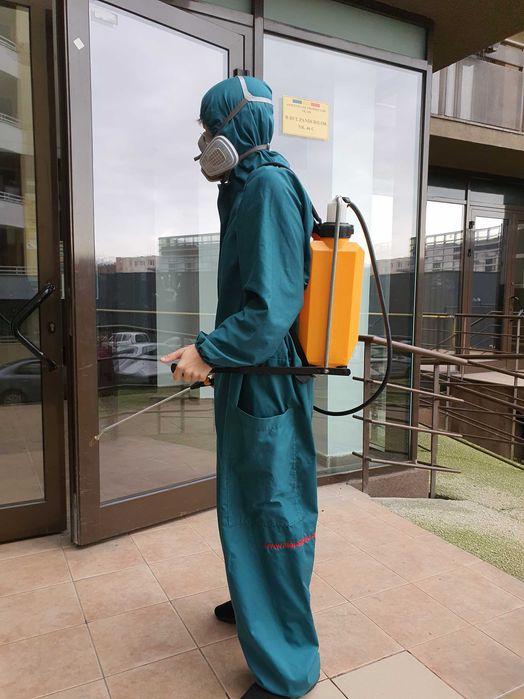 Servicii dezinsectie dezinfectie deratizare DDD si cuib de viespi