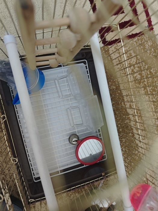 Клетка для попугая виесте со всем