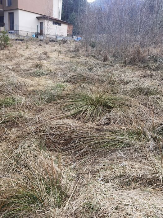 Продава се Земеделски имот в Сърница -  кв.м за 45 €/дка - Снимка #5