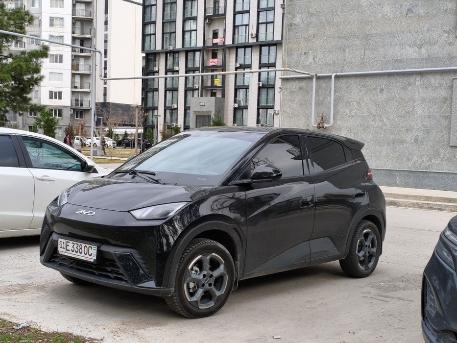 Byd seagull  официальный 2024-25