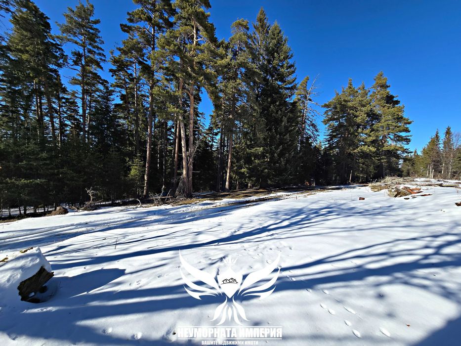 Продава се Парцел в с. Добралък, Област Пловдив - 192 кв.м за 69 €/кв.м - Снимка #15