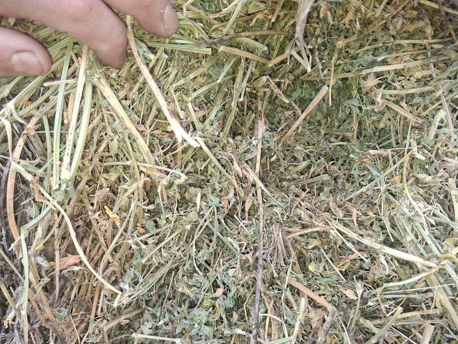 Baloti de lucernă
