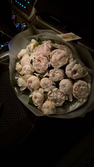 Пионы майские шикарные