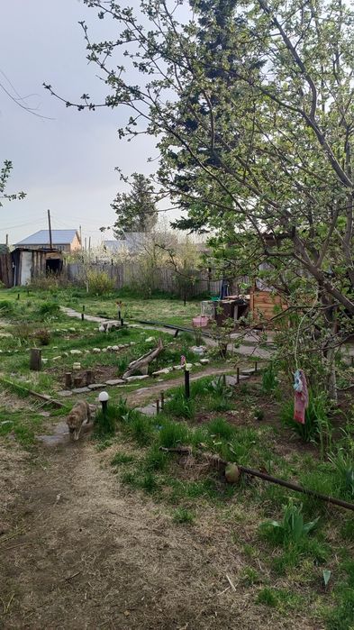 Продам зимнюю дачу в городе