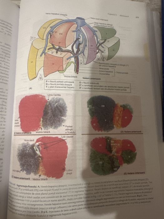 Vând Carti Anatomie Clinica ambele volume