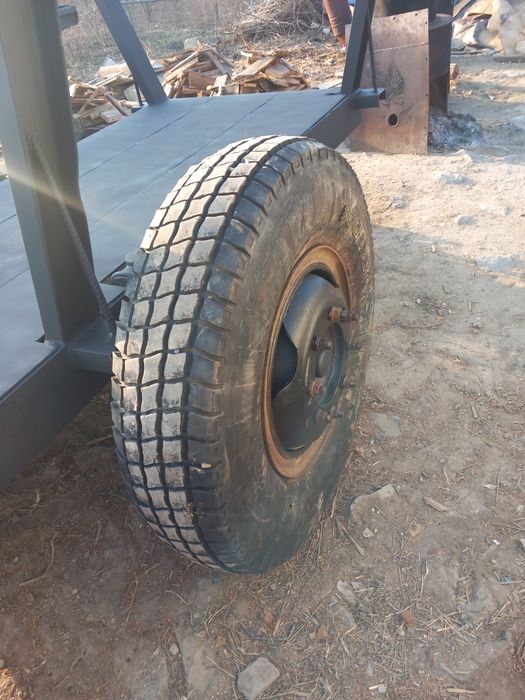 Trocarici, trancar ,peridoc de pădure