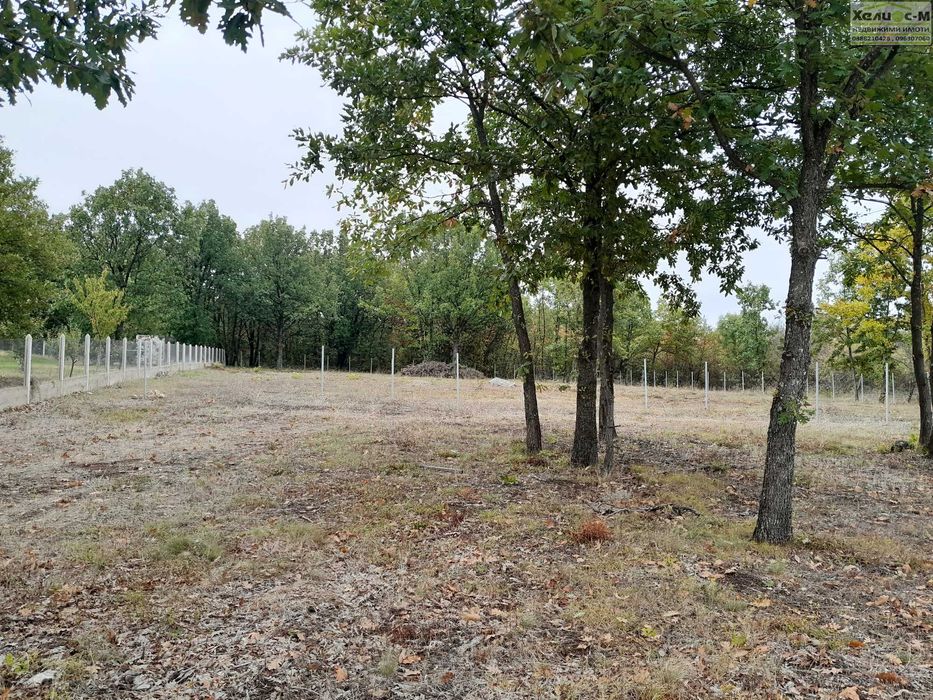 Парцел в местност Расника до яз.Огоста, гр.Монтана