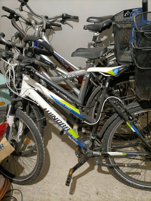 Biciclete femei și bărbați