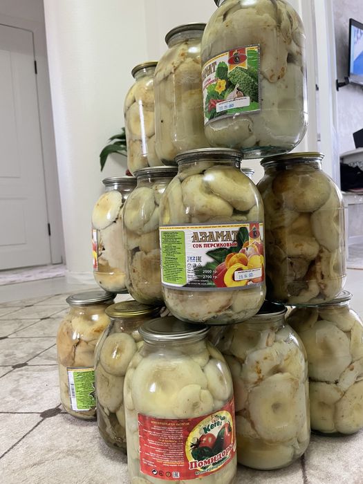 Продам грузди соленые