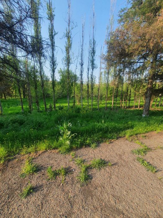 Нотурар бино иншоатлари