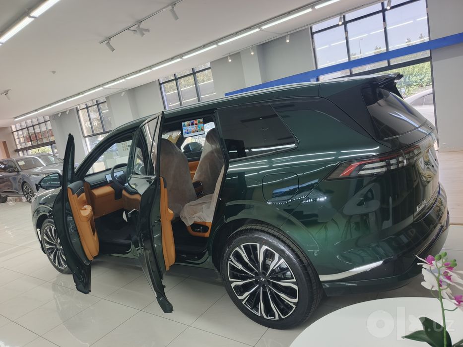 Dong Feng 008 610 km Elektr 2026