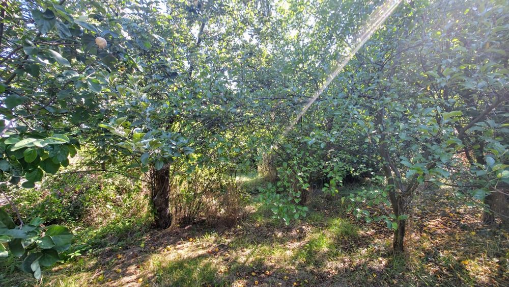 Продава се къща в кв. Църква, гр. Перник