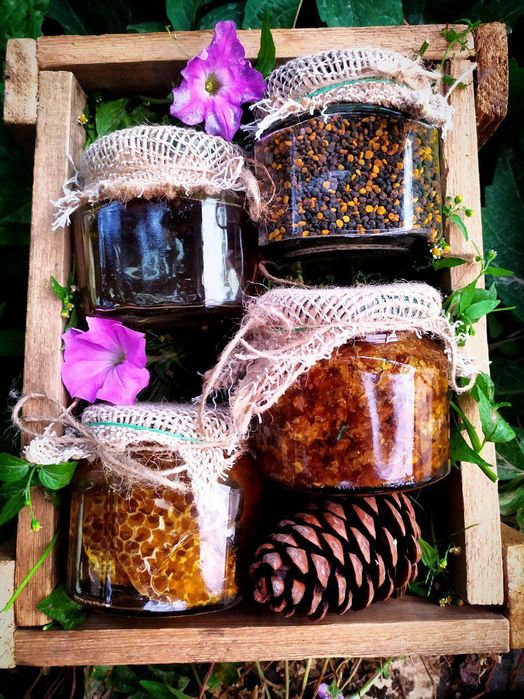 Натуральный Мёд со своей пасеки.