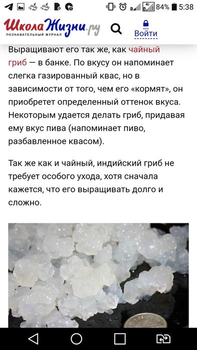 Морской индийский рис