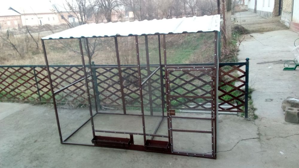 Товук катак сотилади