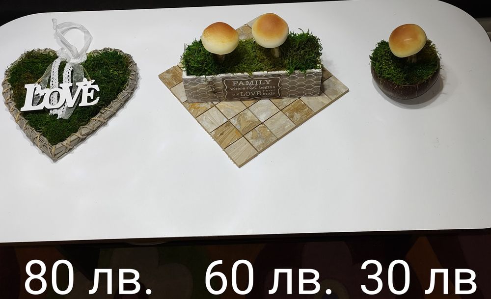 Фото картини и изделия стабилизира мъх