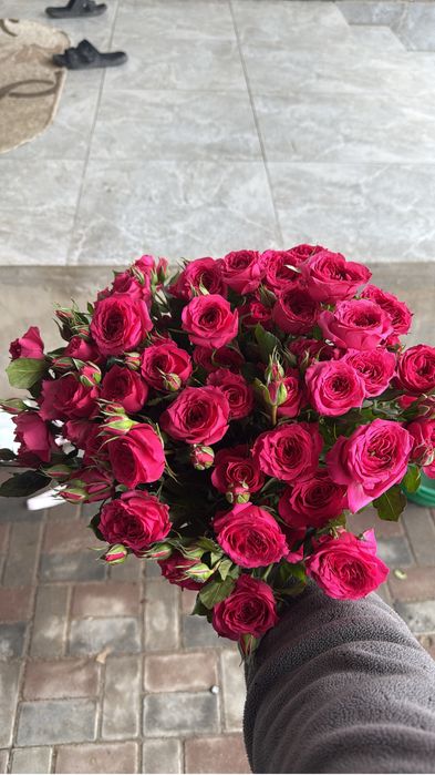 Сегодняшние 12ка