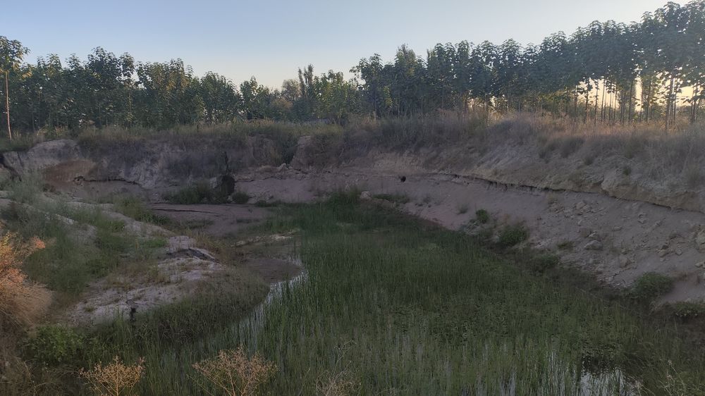 Огромная дача 2га