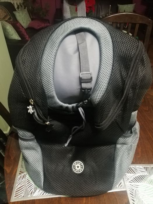 Раничка за куче.