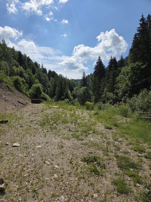 Vand  teren in Muntele Baisorii 500 mp cu Cf