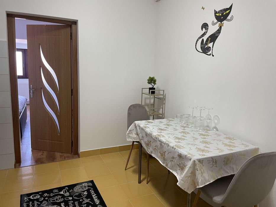 Inchiriez apartament cu o camera centru  regim hotelier