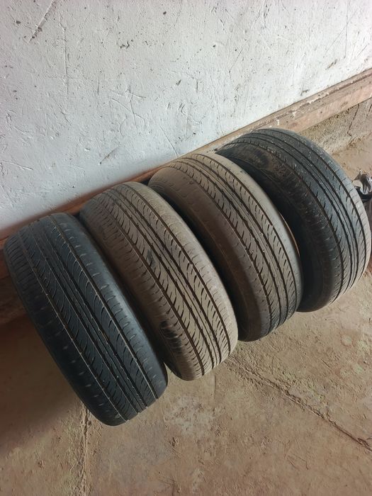 Letniy bolon sotiladi bevu