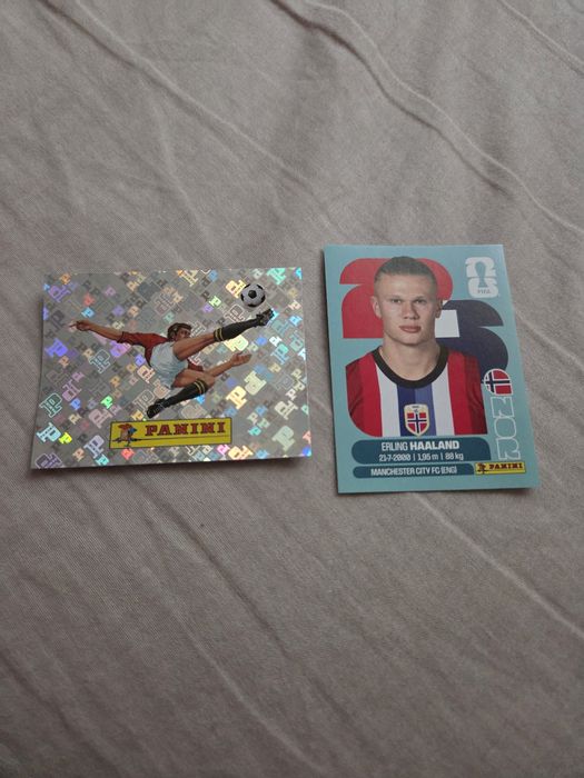 Panini World Cup Ronaldo