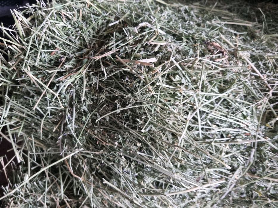 Беда прес сотилади