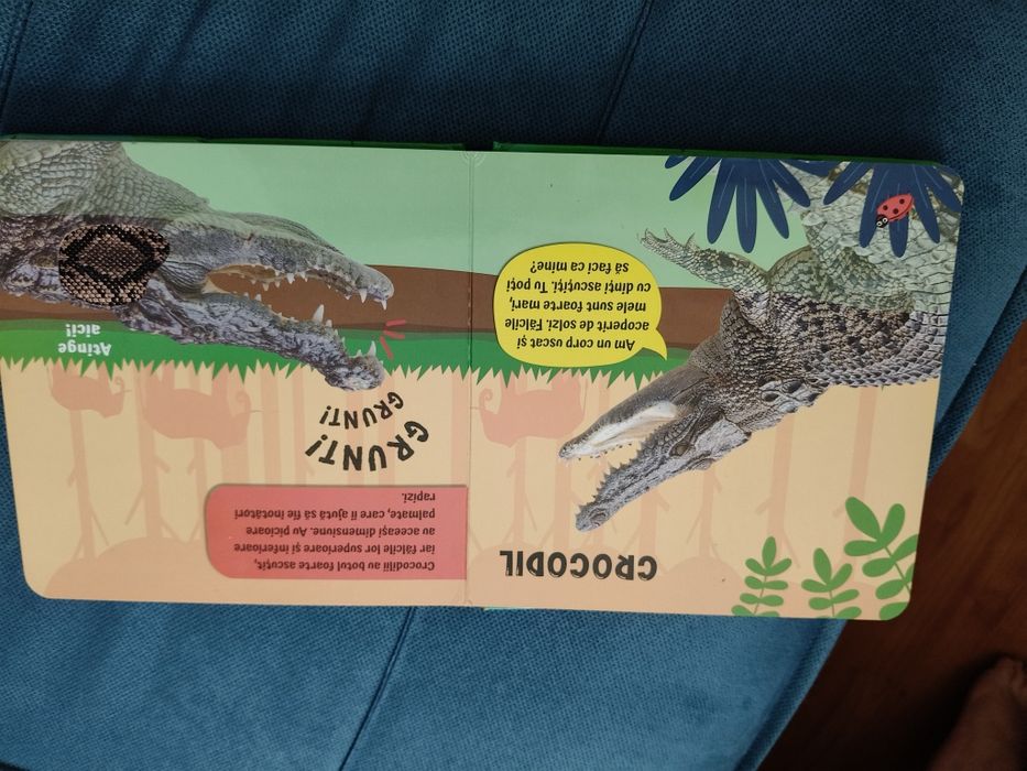 Carte mangaie, simte si asculta