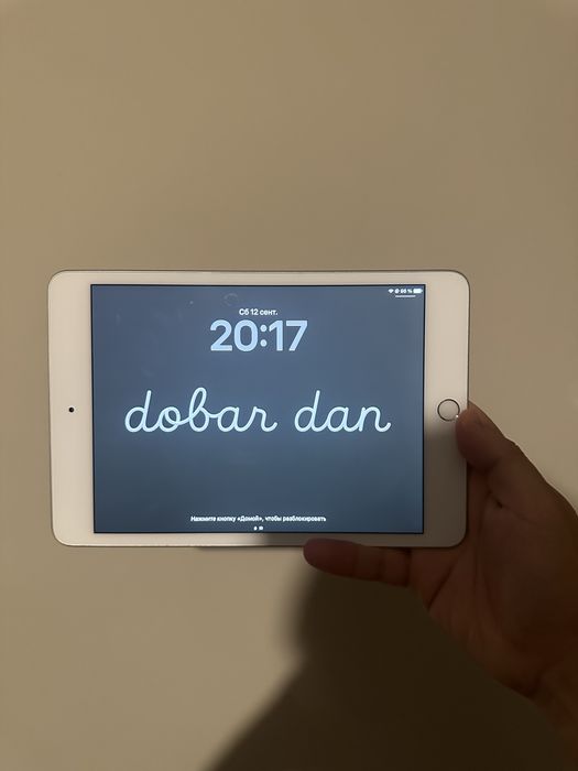 IPad Mini 5 256 Gb