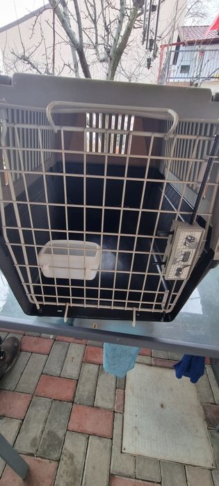 Cusca transport caine