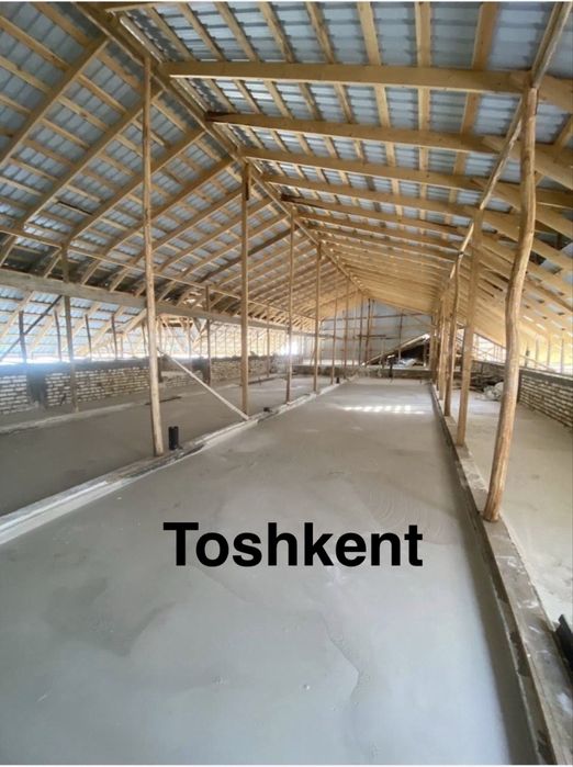 pena lomboz xizmati Toshkent