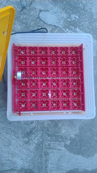 Incubator  automatizat ouă păsări