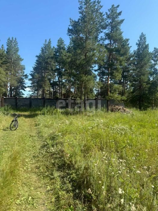 Продам зем. участок в сосновом бору