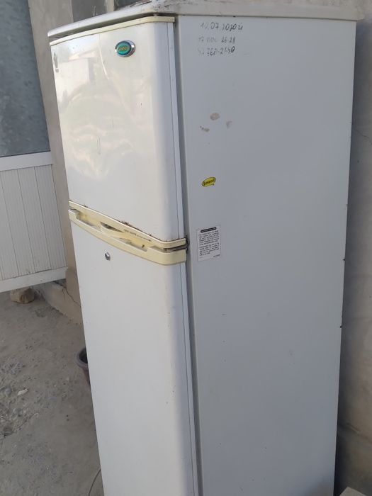 Haladeni bor ishlidi