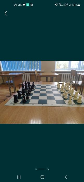 Шахматы для всех