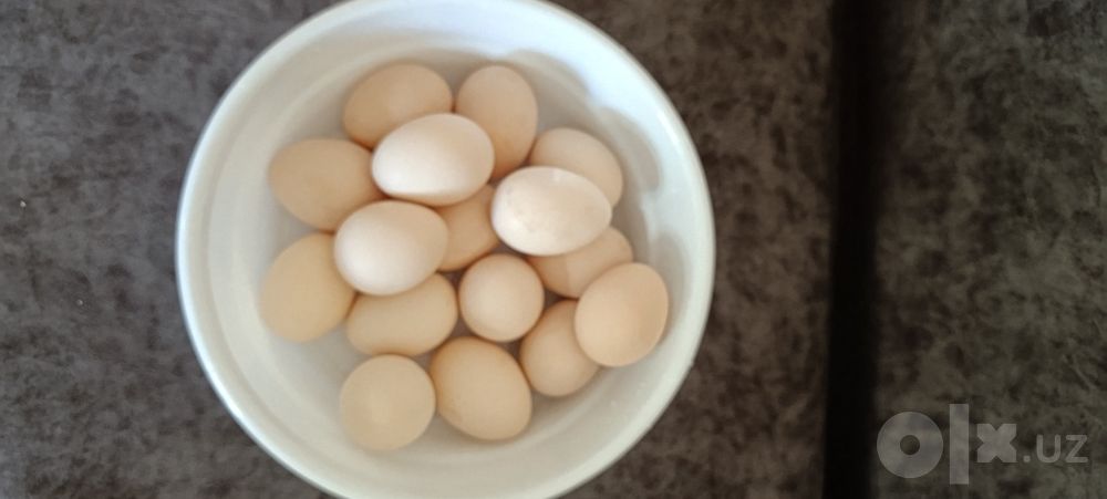Яйца куриные домашние
