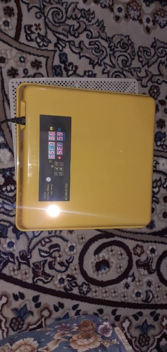 Incubator tuxum juja ochirish uchun