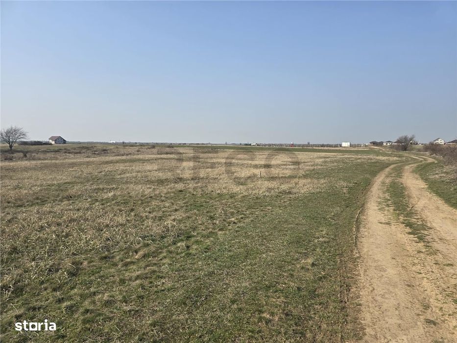 RECO Teren Grigorescu