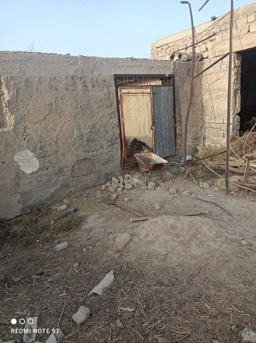 Qurilishi tugallanmagan issiqxona va xaladelnik xona, va vremenka