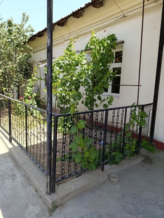 Миробот тумани мунис кучасида участка сотилади