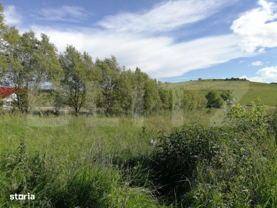 Teren intravilan 50 arii Tofalau Sat