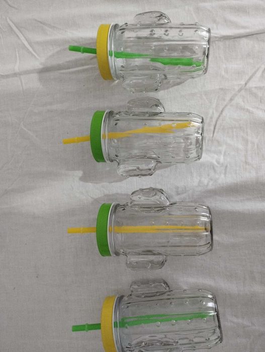 Чаши Cacti - кактуси 370мл с капаче и сламка