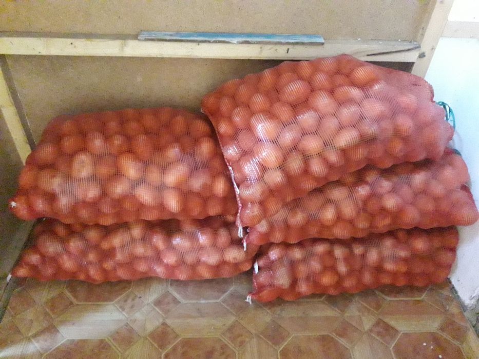 Продам картофель