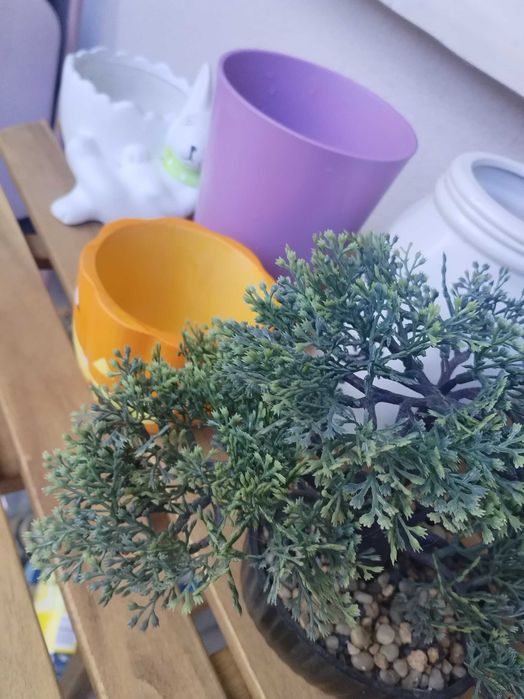 Кашпи и ваза за 10 лв всичко