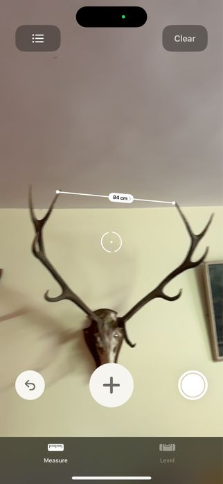 Истински Масивни Еленови Рога с Череп