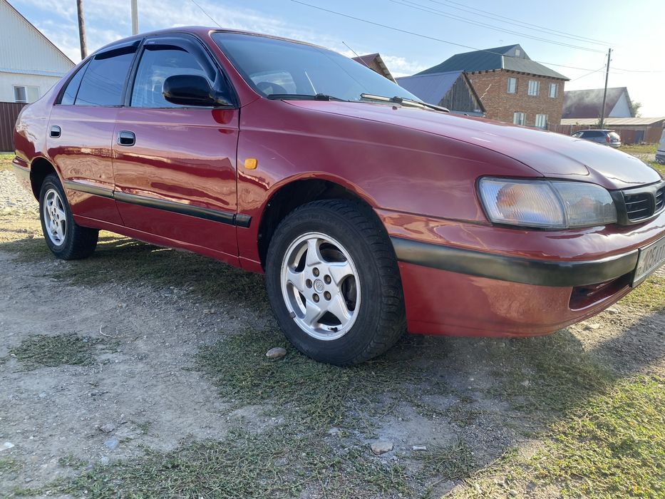 Карина е сатылады.