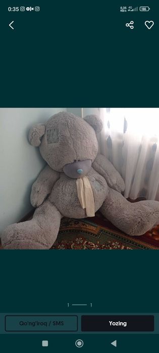 Teddy. Yangi buyi 1.80