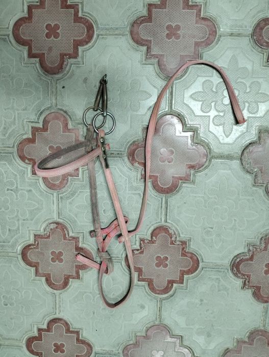 Продам уздечку для лошади