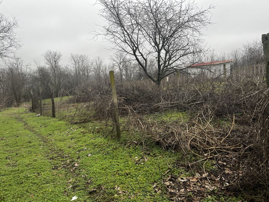 Парцел в с. Калипетрово ул.Огоста 14